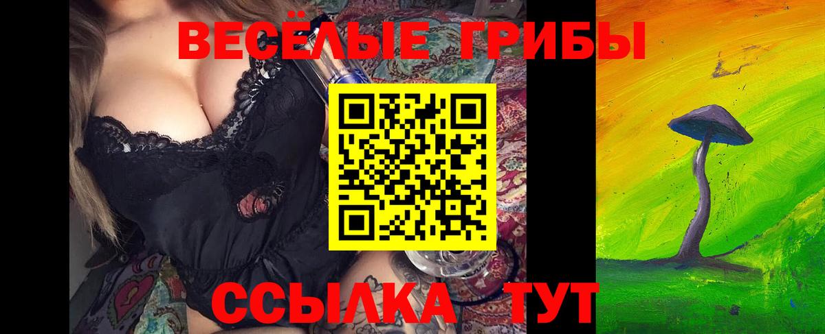 наркота  Псилоцибиновые грибы мицелий  Новосибирск  Вход с VPN  Псилоцибиновые грибы Psilocybe 